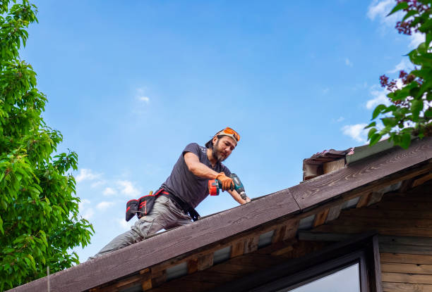 Best Roof Moss and Algae Removal  in Churchill, MT
